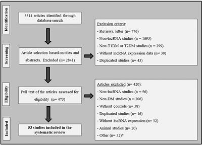 The Impact of lncRNAs in Diabetes Mellitus: A Systematic Review and In Silico Analyses